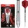 Target Nathan Aspinal Gen1 Steeldarts