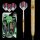 Winmau Daryl Gurney Steeldarts