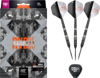 Target RVB ECHO 95% Steeldarts