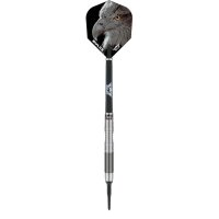 Bulls Eagle 2 Softdarts