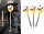 Target Gabriel Clemens GEN2 Swisspoint Steeldarts
