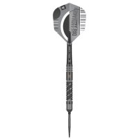 Target Dimitri Van den Bergh Echo Swiss Point Steeldarts