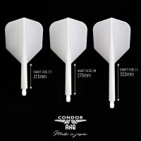Condor AXE Flight System Standard