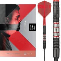 Target Gabriel Clemens 95K 95% Swiss Steeldarts