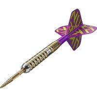 Target Luke Littler G1 Prodigy Steeldarts