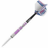 Bulls Challenger Steeldart M. Unterbuchner Steeldarts
