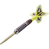 Target Luke Littler World Champion Steeldarts