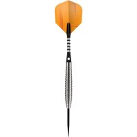 Shot Zen Dojo Steeldarts