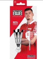 Bull`s Niko Springer Steeldarts