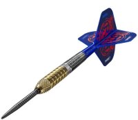 Target Raymond Van Barneveld GEN6 Steeldarts