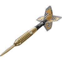 Bolide Envy 02 90% SP Steeldarts