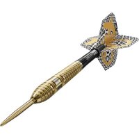 Bolide Envy 03 90% SP Steeldarts