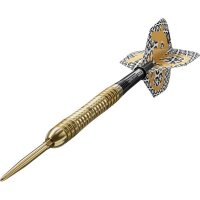 Bolide Envy 04 90% SP Steeldarts