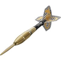Bolide Envy 05 90% SP Steeldarts
